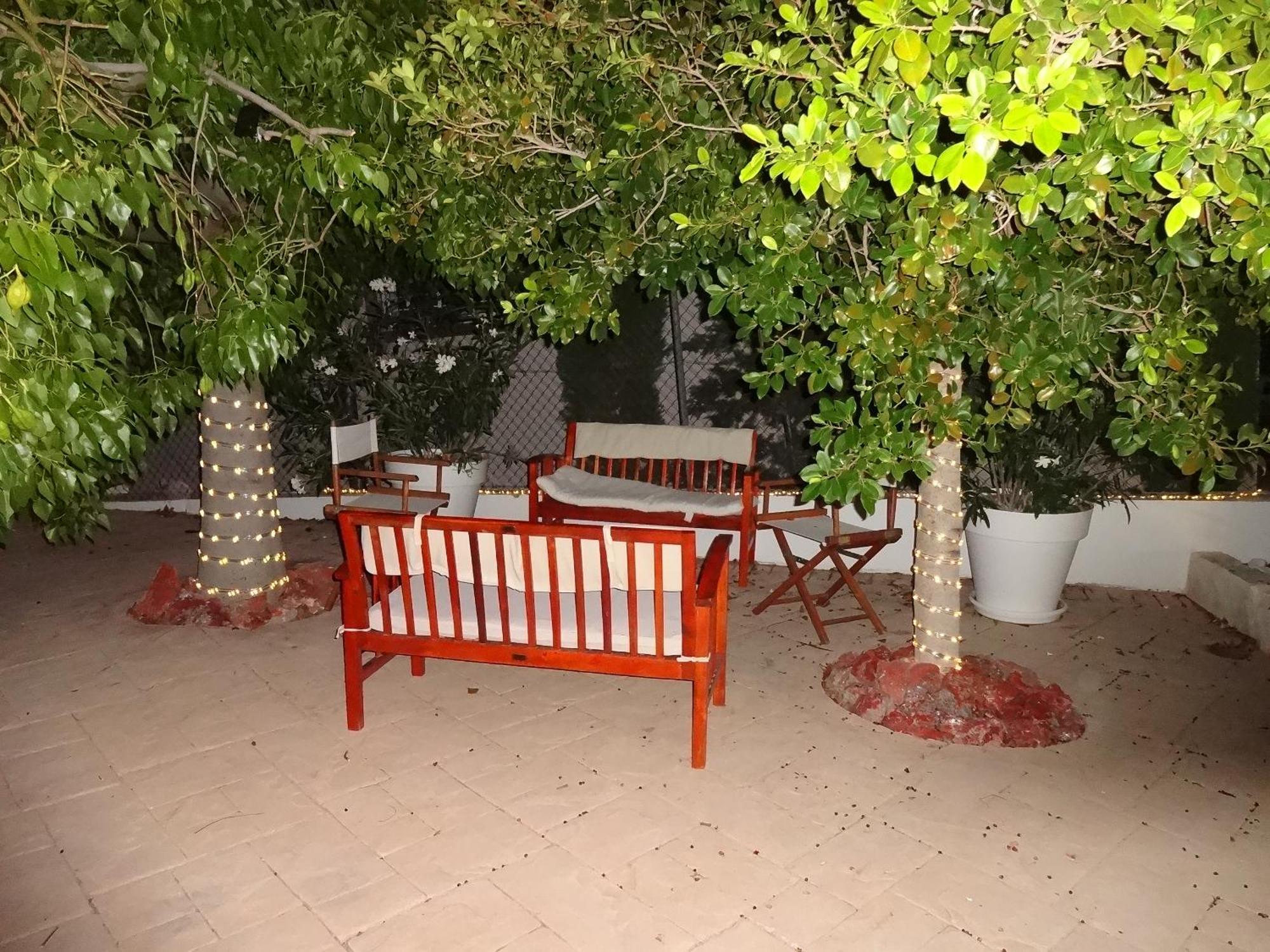 Las Palomas, Appartement 2 Chambres Avec Piscine Turís المظهر الخارجي الصورة