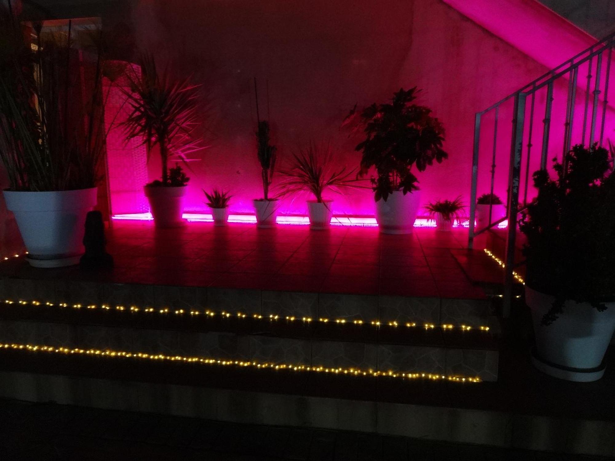 Las Palomas, Appartement 2 Chambres Avec Piscine Turís المظهر الخارجي الصورة